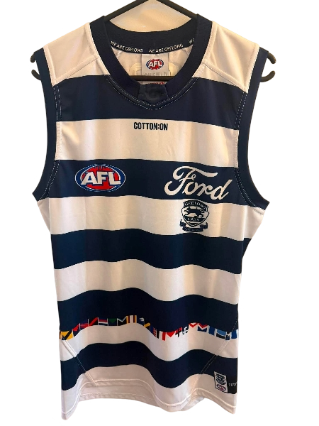 Jeremy Cameron Geelong Cats AFL player issue guernsey, official regional round AFL jersey featuring team logo and player name.