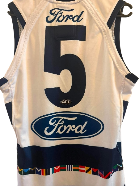 Jeremy Cameron Geelong Cats AFL player issue guernsey, official regional round jersey with team logo and player name.