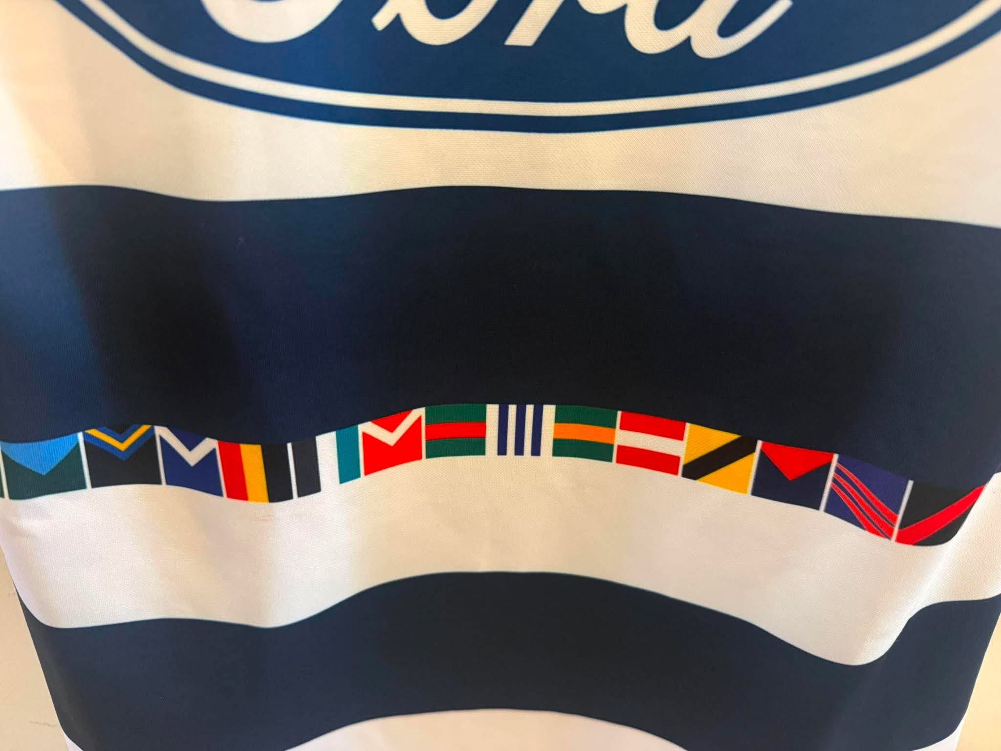 Official Jeremy Cameron Geelong Cats AFL player issue guernsey, regional round, featuring team logo and player name in vibrant colors.