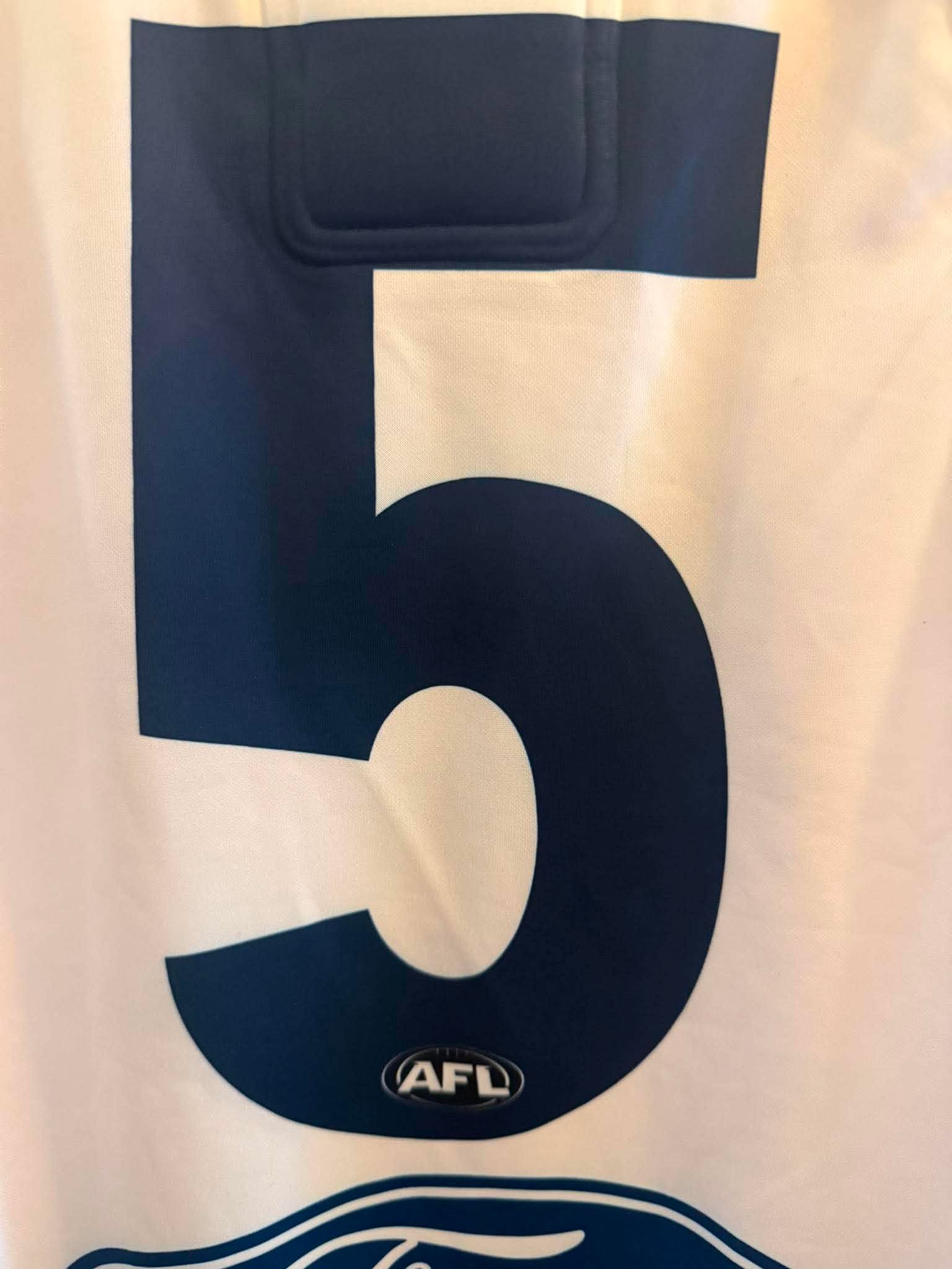 Jeremy Cameron Geelong Cats AFL player issue guernsey, official regional round jersey, featuring team logo and player number.