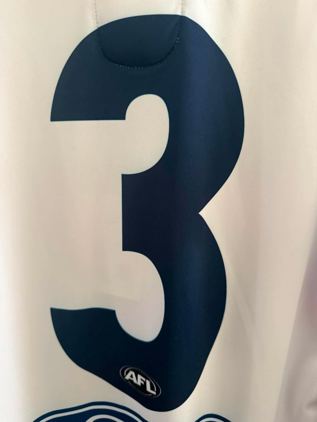 Long sleeve Geelong Cats 2023 AFL ANZAC Player Issue jersey by Cotton On, featuring team logo and official design details.